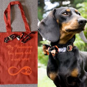 Autumn colours bowtie and leash set with tote bag with dachshund