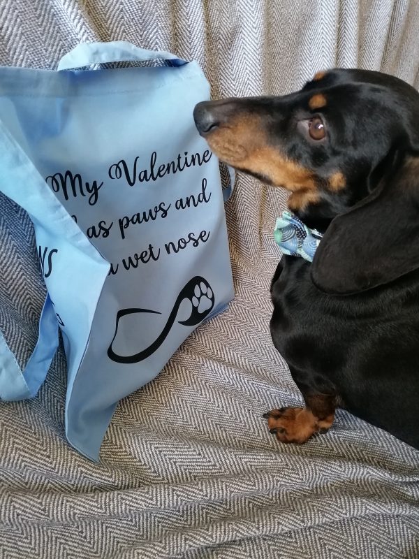 dachshund and ocean blue tote bag