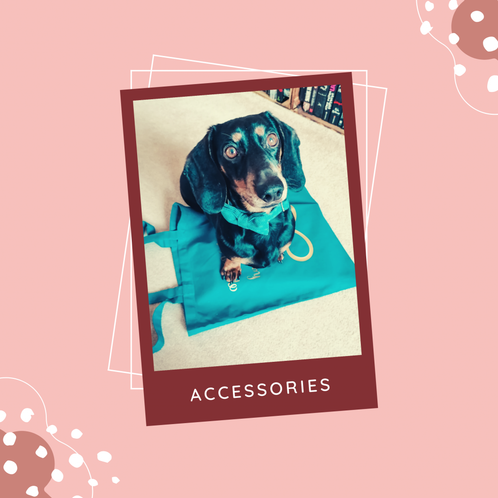 Dachshund, sausage dog and Movie TV show inspired accessories
